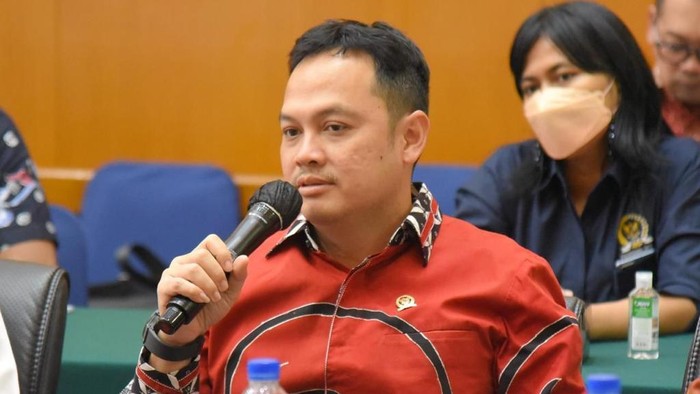 Dede Indra Permana
