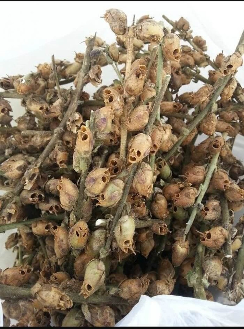 Foto Unik Tapi Menyeramkan