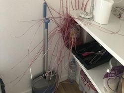 Foto Unik Tapi Menyeramkan, Berharap Tidak Nyata