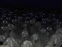 Foto Unik Tapi Menyeramkan, Berharap Tidak Nyata