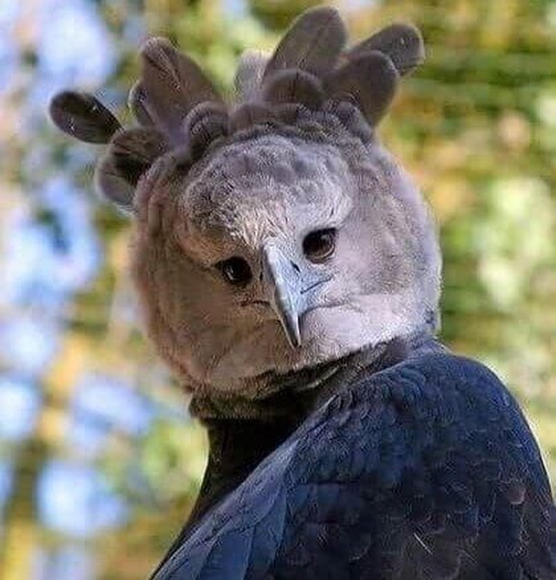 Foto Unik Tapi Menyeramkan