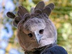 Foto Unik Tapi Menyeramkan, Berharap Tidak Nyata