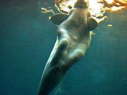 Foto Unik Tapi Menyeramkan, Berharap Tidak Nyata