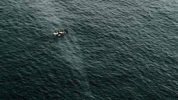 Para nelayan tidak menyadari ada sosok begitu besar di bawah perahu mereka. Meskipun paus ini sama sekali tidak berbahaya, ukuran makhluk itu cukup untuk menakuti siapa pun. Dapatkah kamu membayangkan dampak gerakan paus yang sekecil apa pun terhadap seluruh lautan? Foto: Travelerz