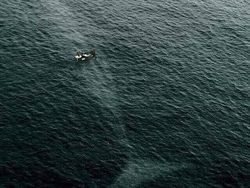 Foto Unik Tapi Menyeramkan, Berharap Tidak Nyata