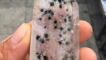 Hampir semua orang yang melihat foto ini awalnya mengira bahwa bintik hitam yang ditemukan di dalam kuarsa sebening kristal ini adalah laba-laba mini yang terperangkap dalam malapetaka selamanya di dalam batu, membatu menjadi bentuk yang unik dan menyeramkan. Namun, penampilan bisa menipu. Batu itu tidak dipenuhi laba-laba hitam kecil, melainkan hantu Mannardite. Inilah yang menyebabkan bintik-bintik hitam yang agak menakjubkan tersembunyi di dalam kuarsa. Mannardite phantom datang dalam berbagai bentuk dan ukuran. Terkadang mereka kecil dan berlimpah, seperti kristal kuarsa ini, dan di lain waktu mereka tampak lebih besar dan lebih menyatu. Padahal mereka terlihat sangat menyeramkan! Foto: Travelerz