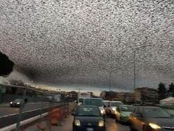 Foto Unik Tapi Menyeramkan, Berharap Tidak Nyata