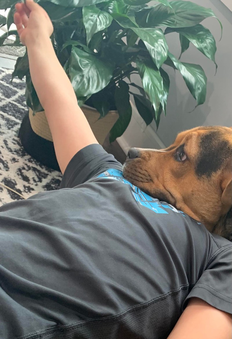 Gambar mengecoh mata