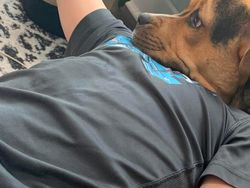 Awas! Mata Bisa Terkecoh Lihat Gambar Ini