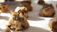 Seekor French Bulldog yang berpose tersenyum di dalam adonan cookie ini terlihat sangat menggemaskan, ya! Foto: Instagram/ @dogs_infood