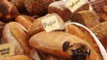 Ini 10 Potret Makanan dengan Puppies yang Imut dan Menggemaskan