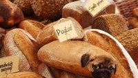  Diberi nama pugloaf, banyak netizen yang memberikan komentar bahwa roti ini merupakan saingan dari baguette. Foto: Instagram/ @dogs_infood