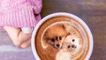 Ini 10 Potret Makanan dengan Puppies yang Imut dan Menggemaskan