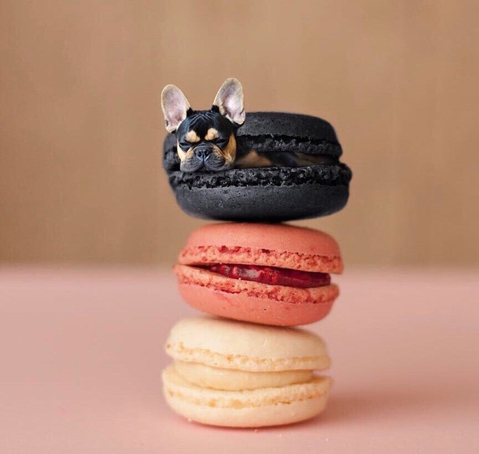 Ini 10 Potret Makanan dengan βPuppiesβ yang Imut dan Menggemaskan οΏΌ Ini 10 Potret Makanan dengan βPuppiesβ yang Imut dan Menggemaskan
