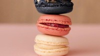.French Bulldog ini duduk nyaman diantara tumpukan macaron yang berwarna-warni. Foto: Instagram/ @dogs_infood