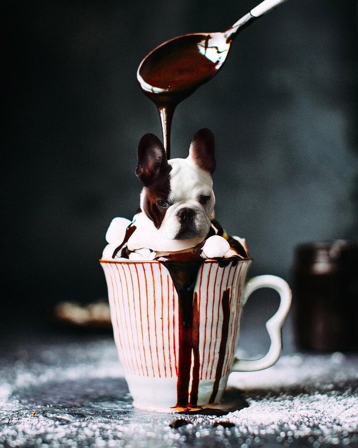 Ini 10 Potret Makanan dengan ‘Puppies’ yang Imut dan Menggemaskan