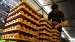 Jelang Ramadhan, Harga Telur Ayam di Bogor Merangkak Naik