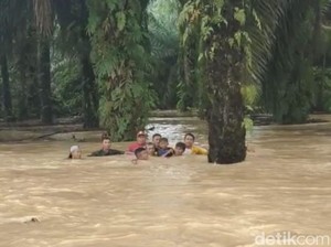 Banjir di Dharmasraya Sumbar: Ratusan Rumah, Sekolah dan Polindes Terendam