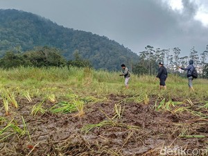 8 Fakta Acara Trail yang Rusak Alam di Ranca Upas