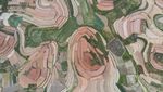Lanskap Unik Ladang Sayur di China