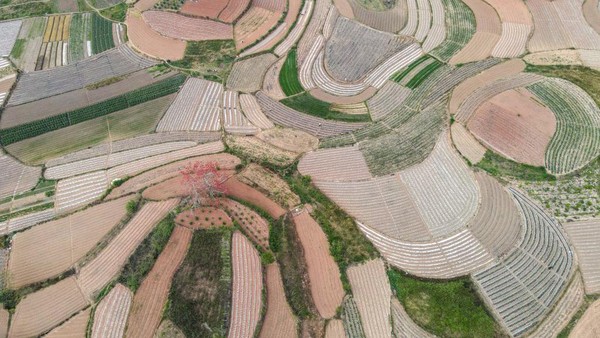 Pemandangan yang unik bukan?