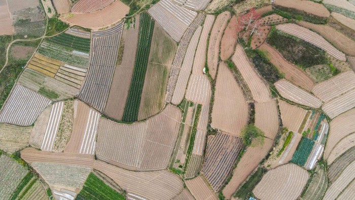 NANNING, CHINA - MARCH 9, 2023 - Aerial photo shows the vast land layered with colors like a palette in Nanning, South China's Guangxi Zhuang autonomous region, March 9, 2023. The green fields are seasonal vegetables in full bloom, the brownish-red fields are freshly plowed by farmers, and the white fields are covered with mulch. (Photo credit should read CFOTO/Future Publishing via Getty Images)