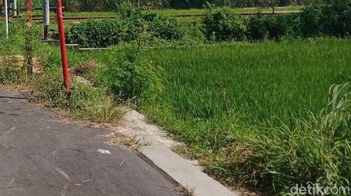 Lokasi kejadian di Desa Merbung, Kecamatan Klaten Selatan, Klaten. Foto diambil Jumat (10/3/2023).