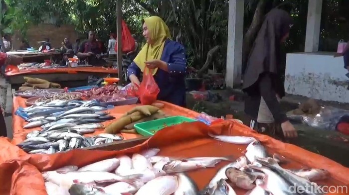 Penjual ikan di pasar rakyat Jambi