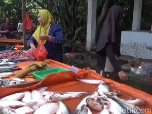 Harga Ikan Nila-Patin Melonjak Naik di Pasar Muaro Jambi