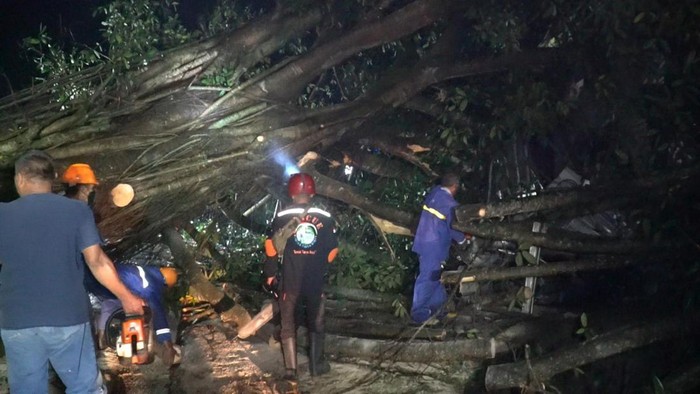 Pohon tumbang di jalan raya Sambi-Simo, Boyolali. Foto diunggah Jumat (10/3/2023).