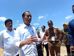 Jokowi Minta BRI Izinkan Petani Dapat KUR dengan Jaminan SK Hutan Sosial