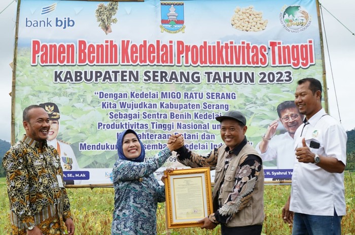Serang Bakal Jadi Percontohan Pengembangan Kedelai di Indonesia