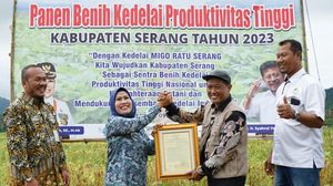Sukses Uji Coba, Varietas Kedelai Ini Diberi Nama Migo Ratu Serang