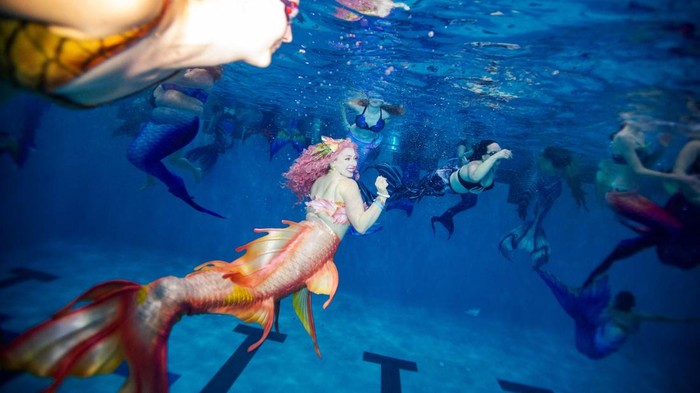 People dressed as mermaids and mermen sit on the side of the pool as they await the group photo and group swim during the MerMagic Convention at the Freedom Aquatic & Fitness Center in Manassas, Virginia on March 4, 2023. - The event bills itself as the 