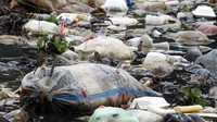 Sampah yang mengambang di permukaan air juga akan menimbulkan bau tidak sedap.