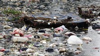 Sampah rumah tangga yang memenuhi situ atau danau tersebut disebabkan kurangnya kepedulian warga sekitar untuk membuang sampah pada tempatnya.