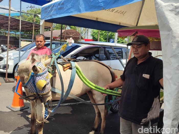 Slamet (baju hitam) dan Isnadi (baju merah), pemilik kuda dan delman yang hilang dicuri di Rejosari, Semarang. Dipotret di Mapolrestabes Semarang, Jumat (10/3/2023).