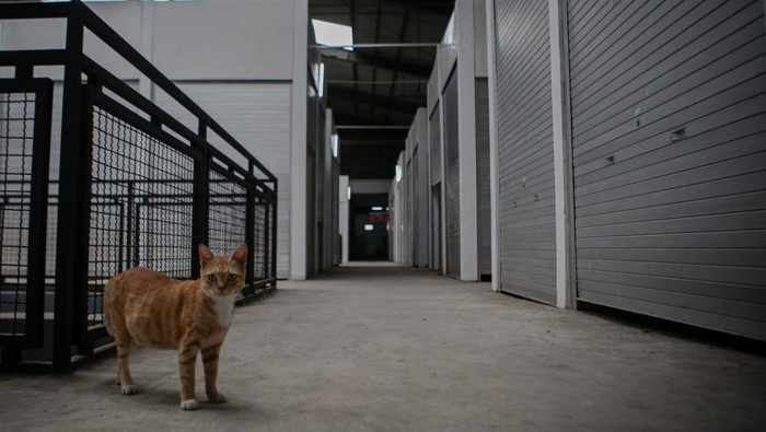 Usai Direvitalisasi, Pasar Ciputat Kok Malah Sepi? Pasar yang telah rampung direvitalisasi pada pertengahan 2022 tersebut terpantau sepi. Para pedagang memilih untuk berjualan di lapak yang berada di pinggir jalan.