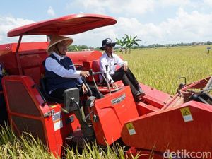 Pemkab Sumenep Sukseskan Gerakan Panen Padi Nusantara 1 Juta Hektare