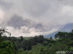 Rentetan Awan Panas Merapi Siang-Sore, BPPTKG: Jarak Terjauh 4 Km