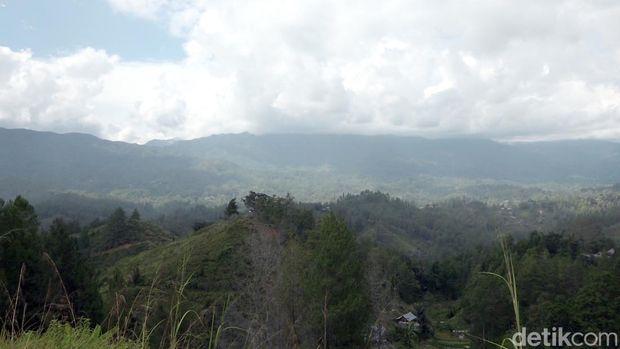 Kawsan agrowisata stroberi di Desa Rantepuang Mamasa, Sulbar.