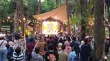 Keren! Ada Konser Musik di Tengah Hutan Borobudur