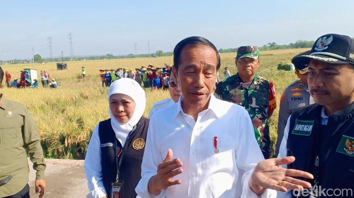 Presiden Jokowi usai panen raya di Ngawi