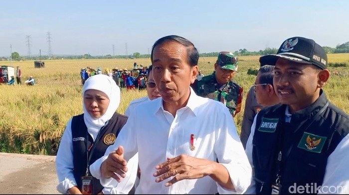Presiden Jokowi usai panen raya di Ngawi