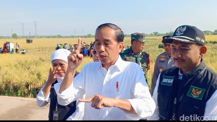 Presiden Jokowi usai panen raya di Ngawi