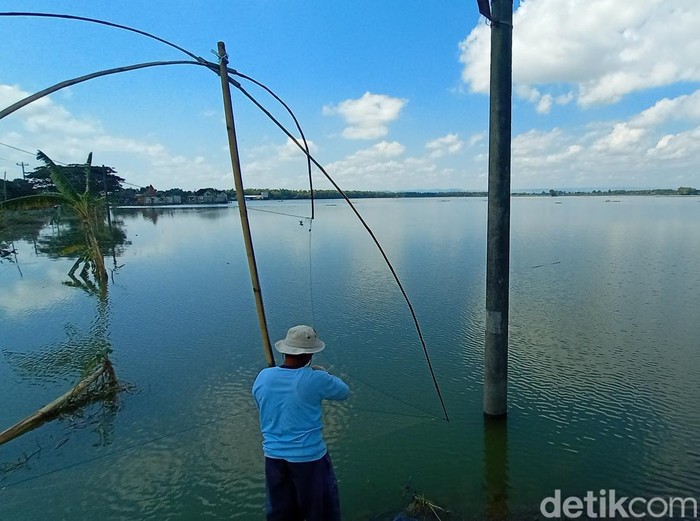Sawah di Kecamatan Jakenan, Pati, masih kebanjiran sejak awal tahun 2023 hingga Sabtu (11/3/2023).