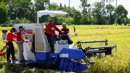 Pelaksanaan Panen Padi Nusantara 1 Juta Hektar di area persawahan Subak Bengkel, Kecamatan Kediri, pada Sabtu (11/3/2023). (istimewa)