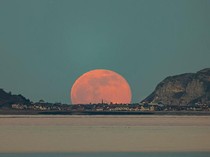 Fenomena Worm Moon 2025 Tanggal Berapa? Ini Jadwal, Lokasi, dan Dampaknya