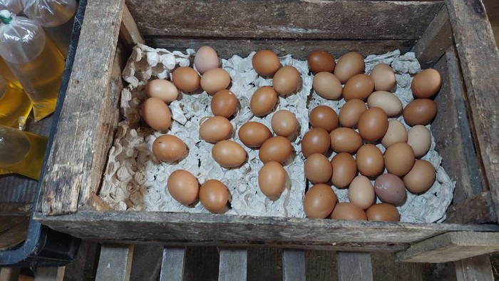 Harga telur ayam jelang Ramadan tembus Rp 30.000/kg