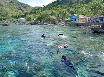 8 Tips Snorkeling yang Aman untuk Pemula